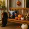 Black Labrador Retriever Puppy Halloween Throw Pillow Machine Washable, Indoor Outdoor Decorative Pillow for Couch, Bed or Patio, 14Hx14W